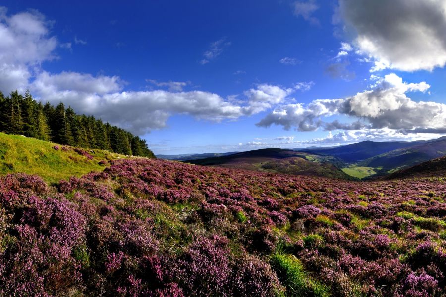 Autorondreis Hoogtepunten van Zuidoost-Ierland - Keuzedeal 1 Autorondreis Hoogtepunten van Zuidoost-Ierland - Keuzedeal
