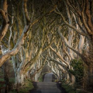 Autorondreis Game Of Thrones Noord-Ierland - Afwisselend verblijf