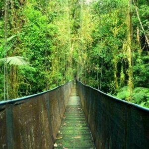 Flydrive: Het beste van Costa Rica